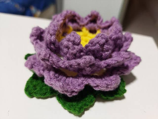 1000029324_81aaf2b3-4a92-42f8-ac9b-8736c60ca123-4x