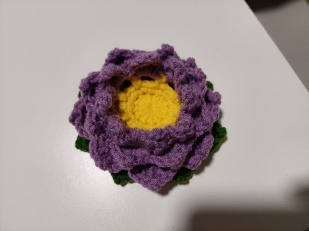 1000029325_52c716a4-1629-4a7a-bc89-5a9c028ca362-4x