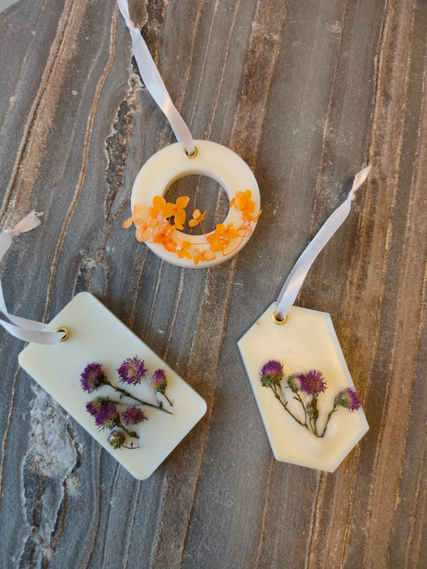 1000115526_e59c7f46-1d29-4e3b-9405-8dab698422be-4x