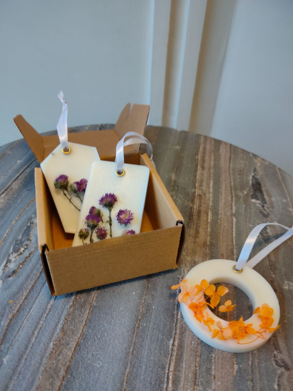 1000115528_821b7d08-c856-4d6d-b494-79d33890748e-4x