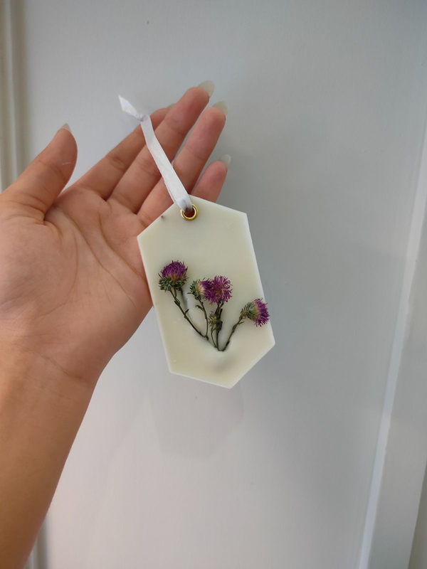 1000115529_6c059dab-9bc5-4078-bf21-29b9043fbb06-4x